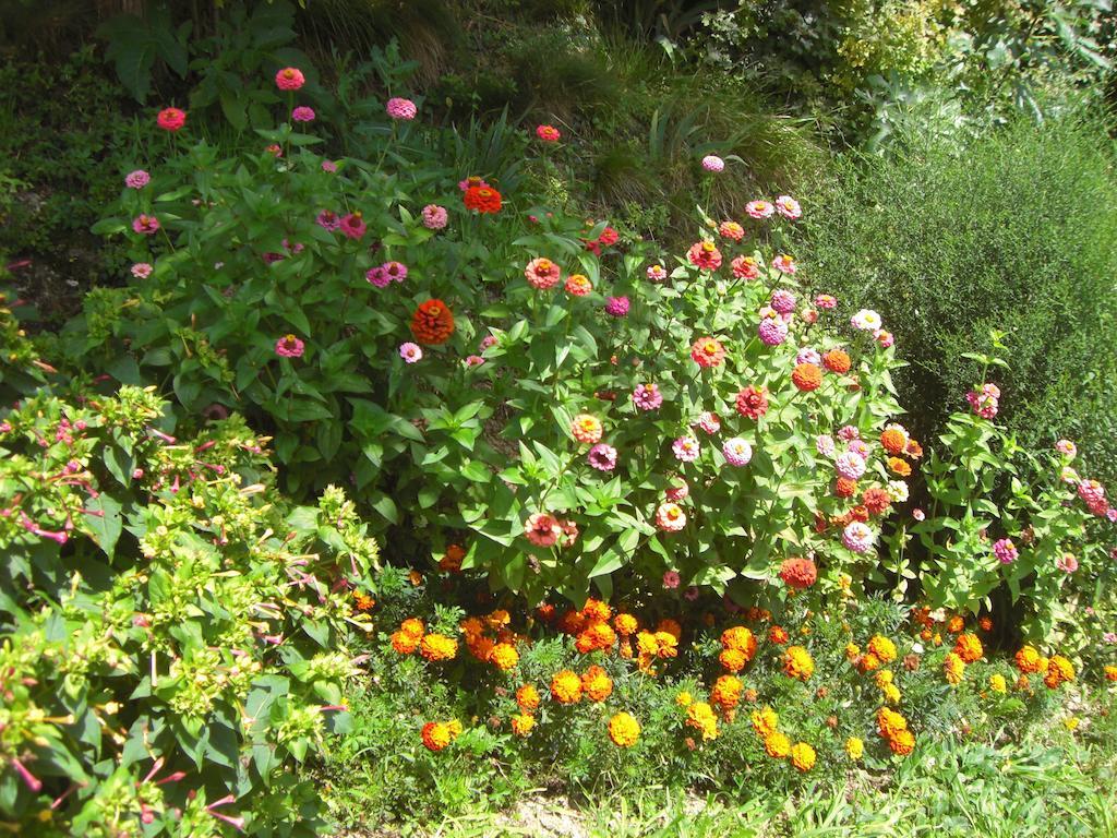 Bed and Breakfast Al Mulino Fregona Zewnętrze zdjęcie